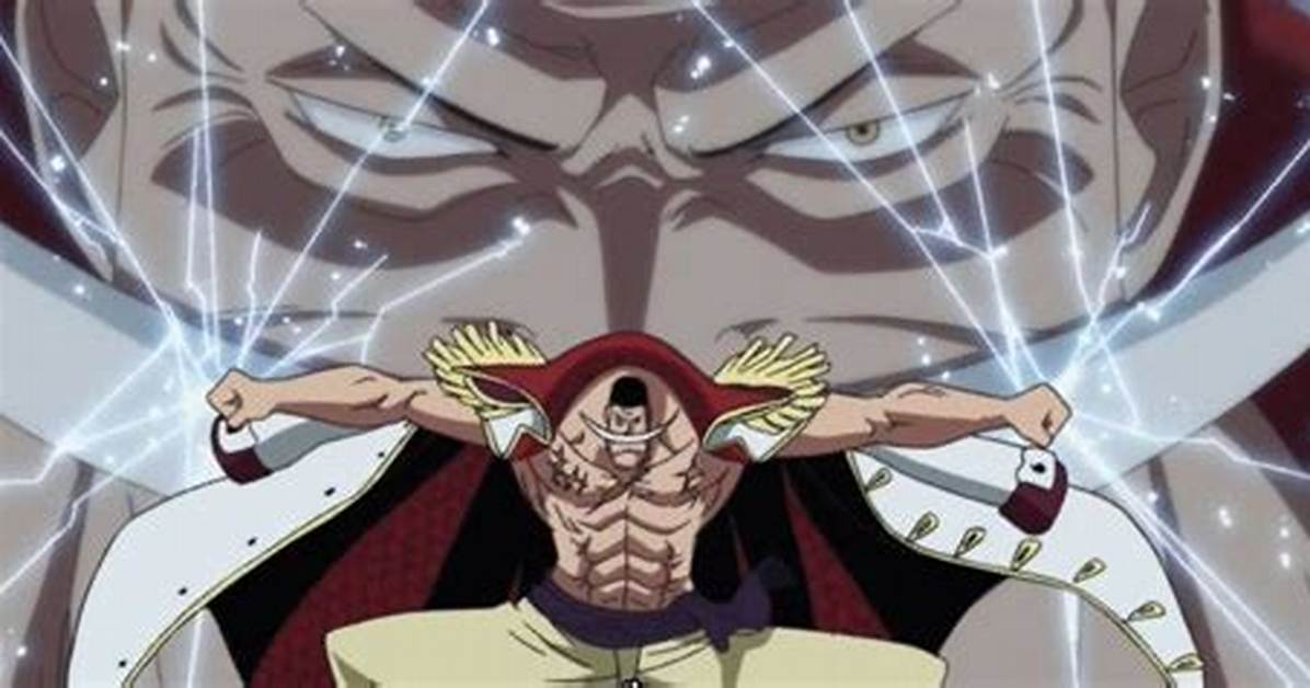 What Devil Fruit Does Whitebeard Have?