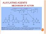 What Do Alkylating Agents Do