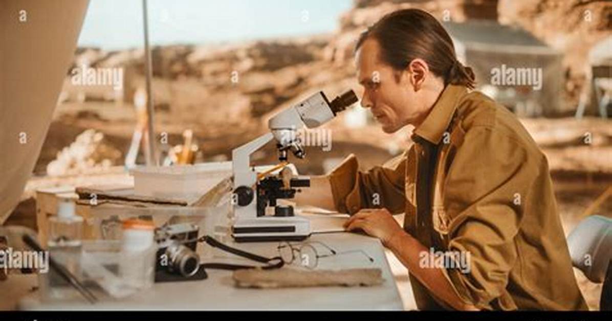 What Do Archaeologist Study?