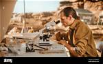 What Do Archaeologist Study?