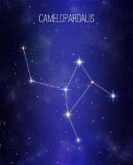 What Do Camelopardalis Mean?