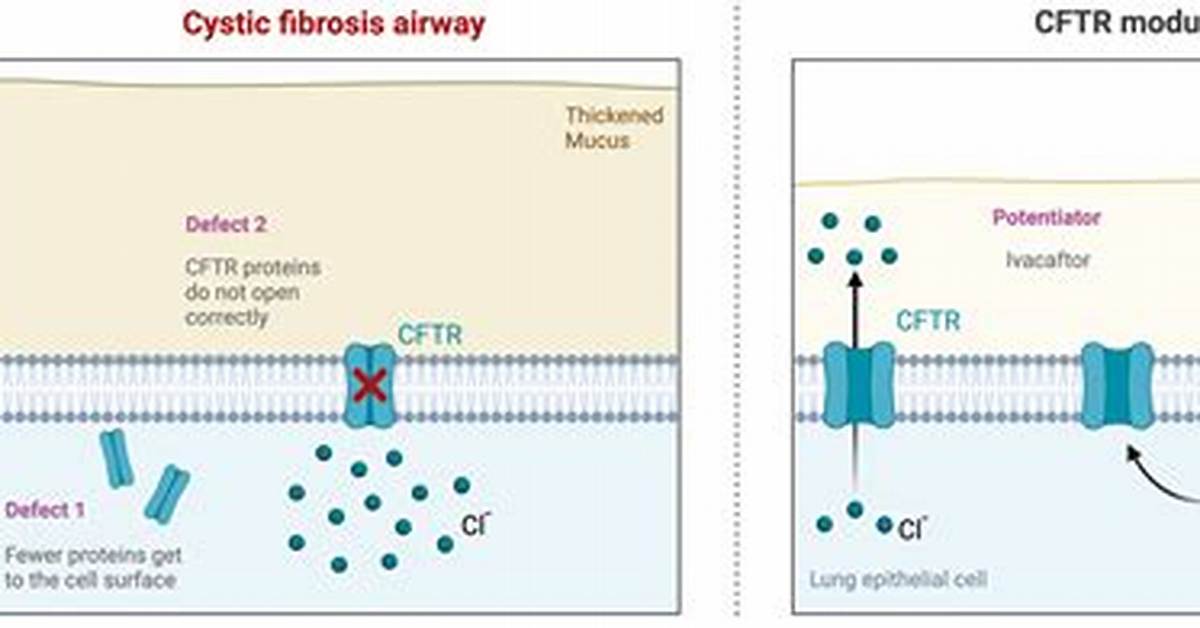 What Do Cftr Modulators Do?
