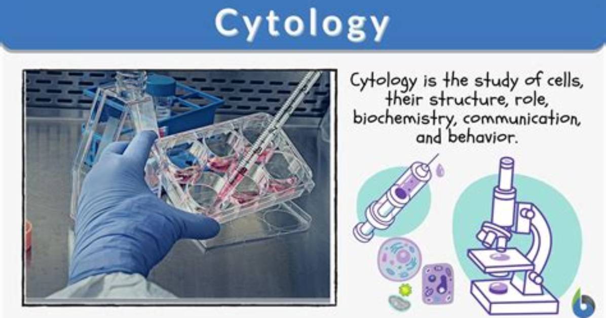 What Do Cytologist Study?