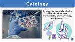 What Do Cytologist Study?