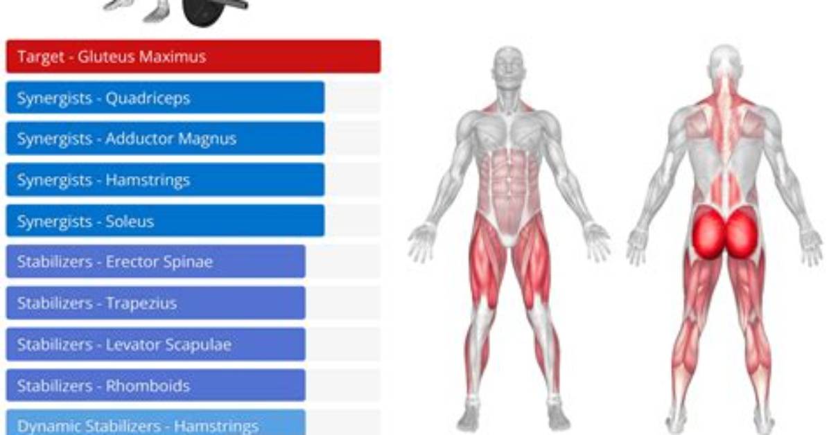 What Do Deadlifts Work?