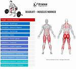 What Do Deadlifts Work?