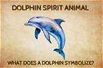 What Do Dolphins Represent