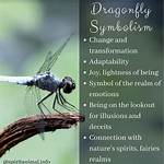 What Do Dragonflies Represent