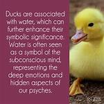 What Do Ducks Symbolize?