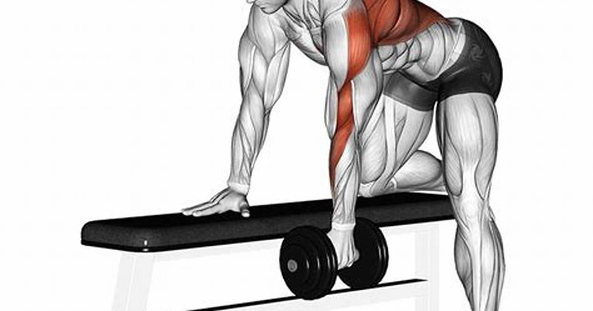 What Do Dumbbell Rows Work