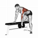 What Do Dumbbell Rows Work