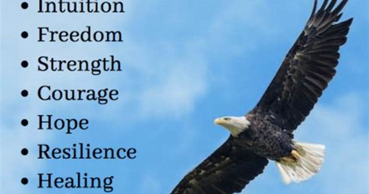 What Do Eagles Represent