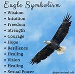 What Do Eagles Represent