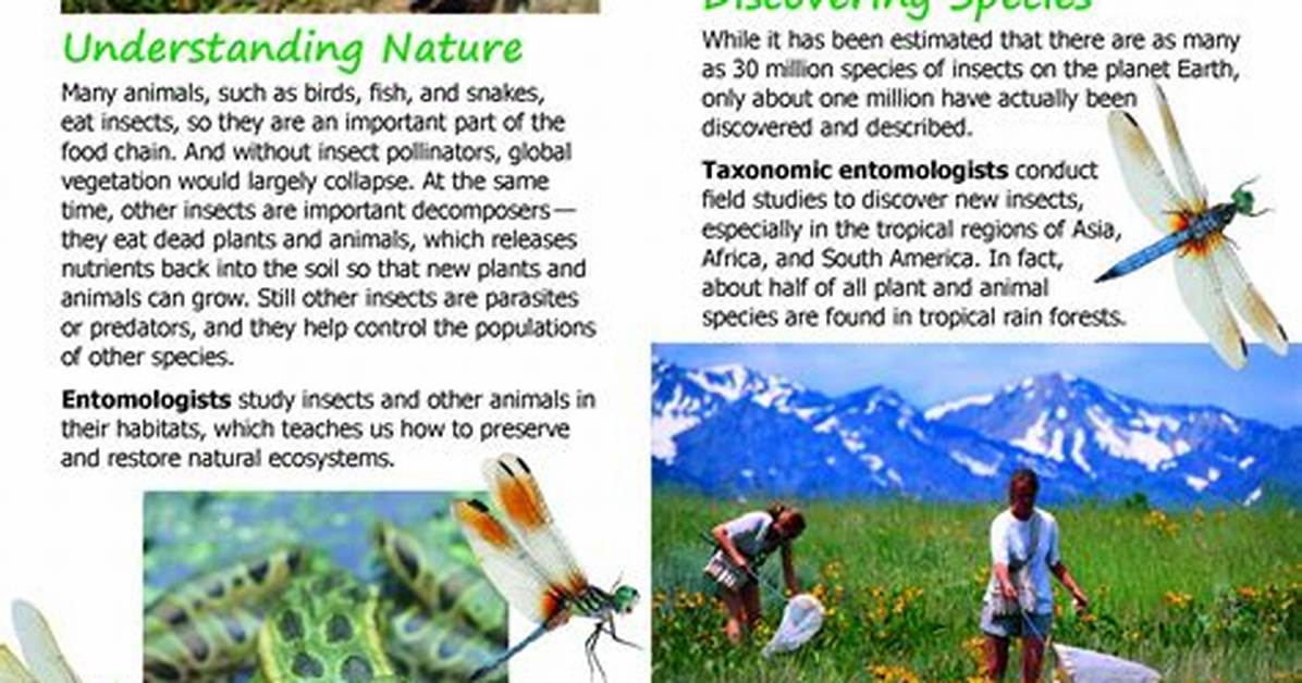 What Do Entomologists Need?
