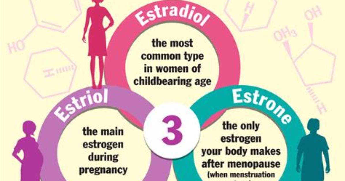 What Do Estrogens Do?