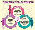 What Do Estrogens Do?