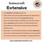 What Do Extensive Mean