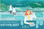What Do Ichthyologist Do?