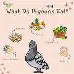 What Do Igorot Eat?