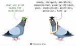 What Do Necessitous Meaning?