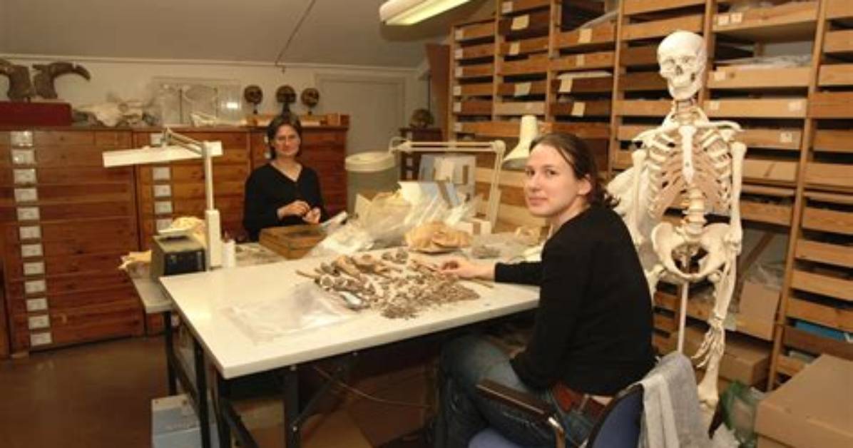What Do Osteologists Study?