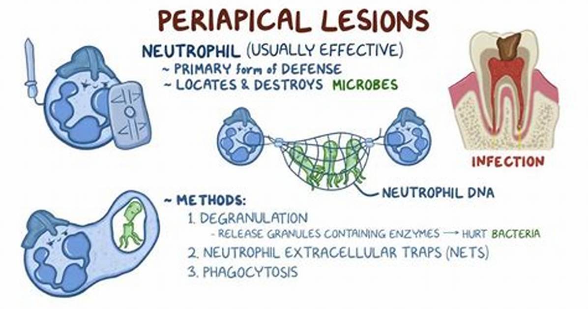 What Do Pathosis Mean?