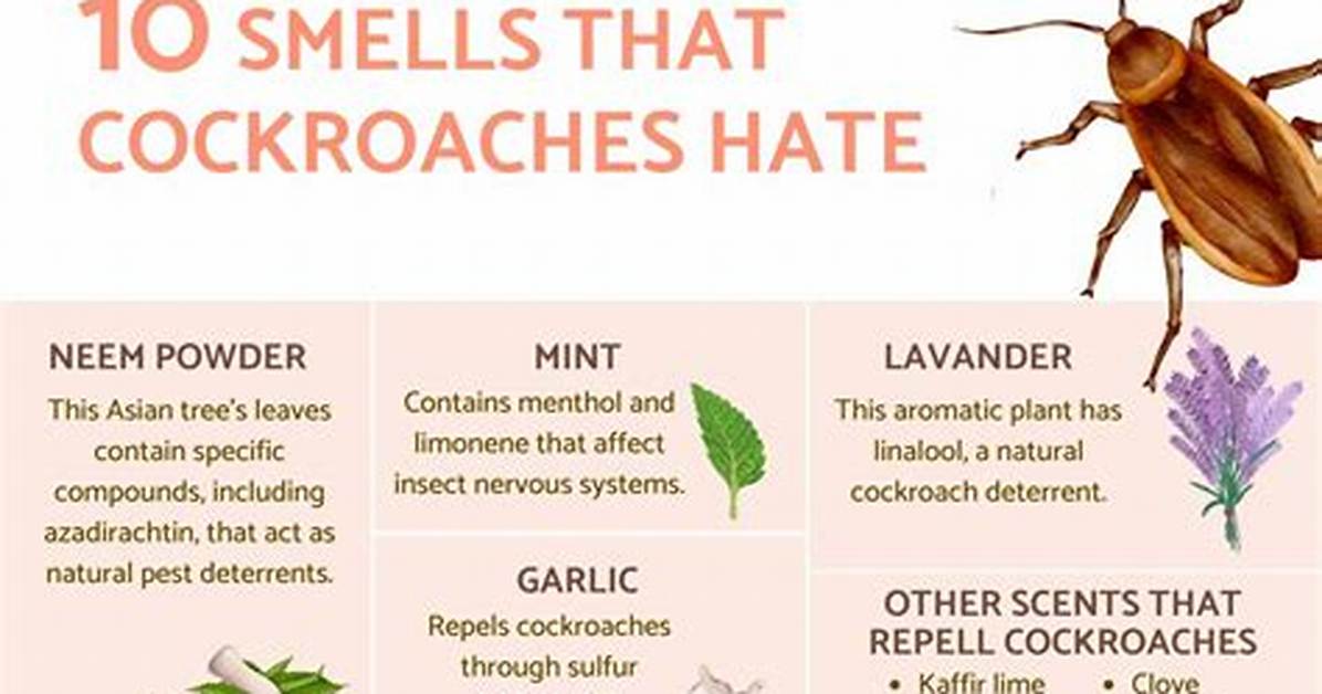 What Do Roaches Hate