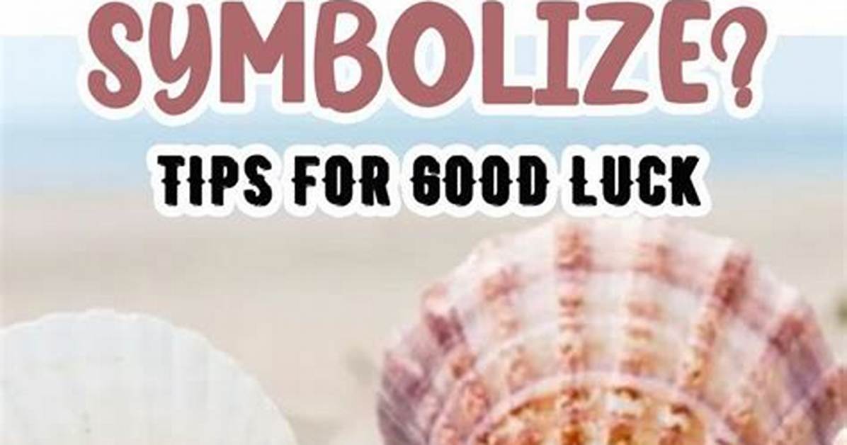 What Do Seashells Symbolize?