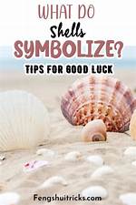 What Do Seashells Symbolize?
