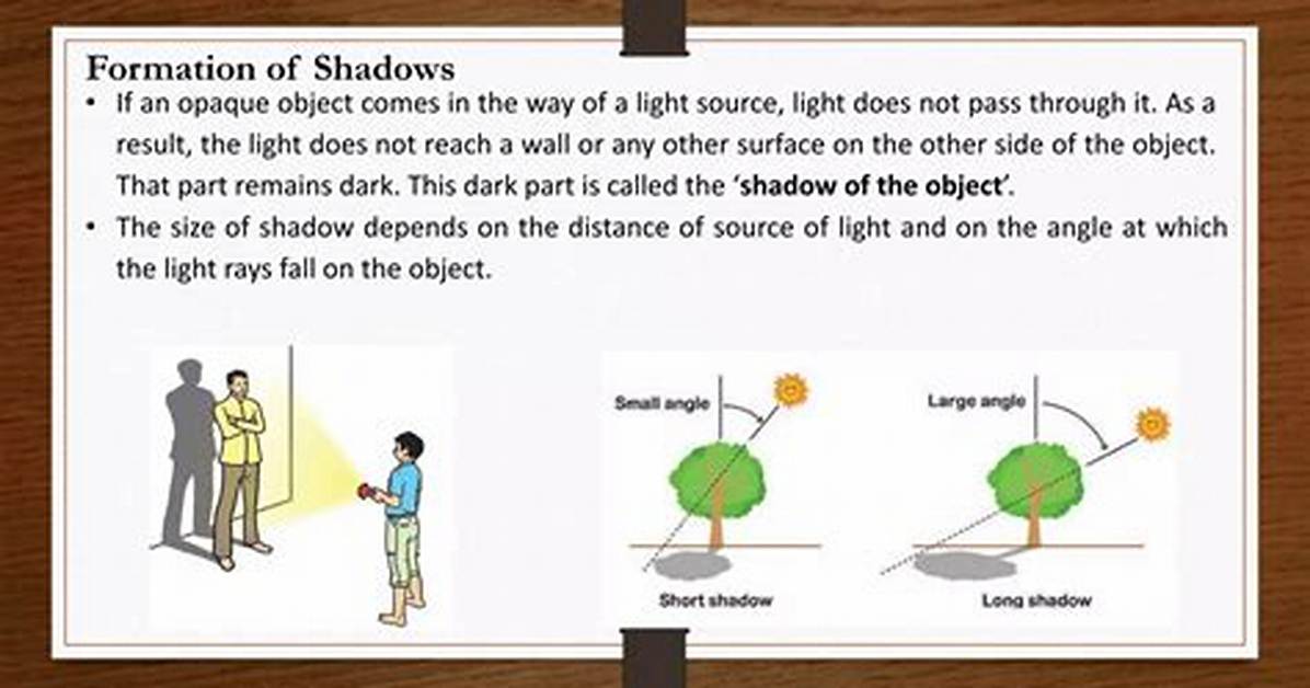 What Do Shadows Do?