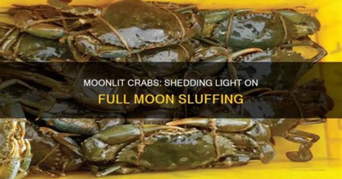 What Do Sluffing Mean?