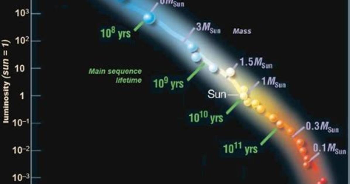 What Do Spectrographs Do?