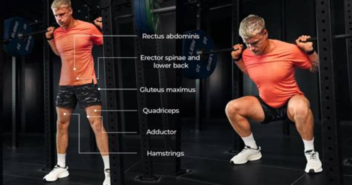 What Do Squats Do