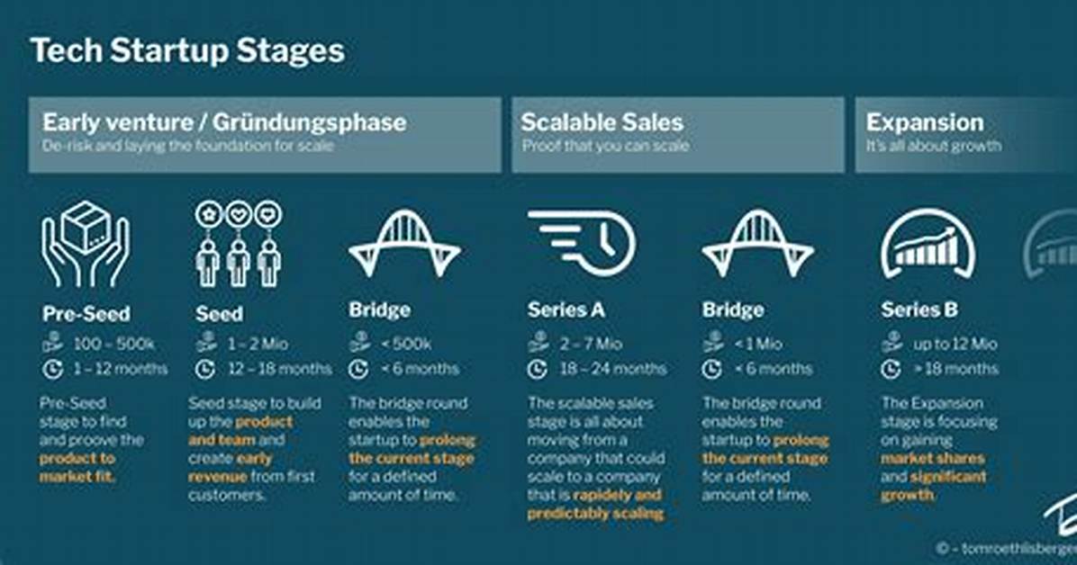 What Do Tech Startups Do?
