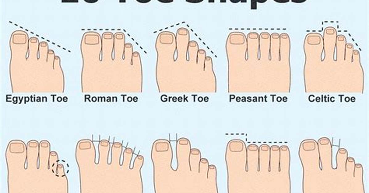 What Do Toe Sizes Mean