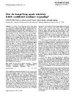 What Do Tranquilizing Mean?