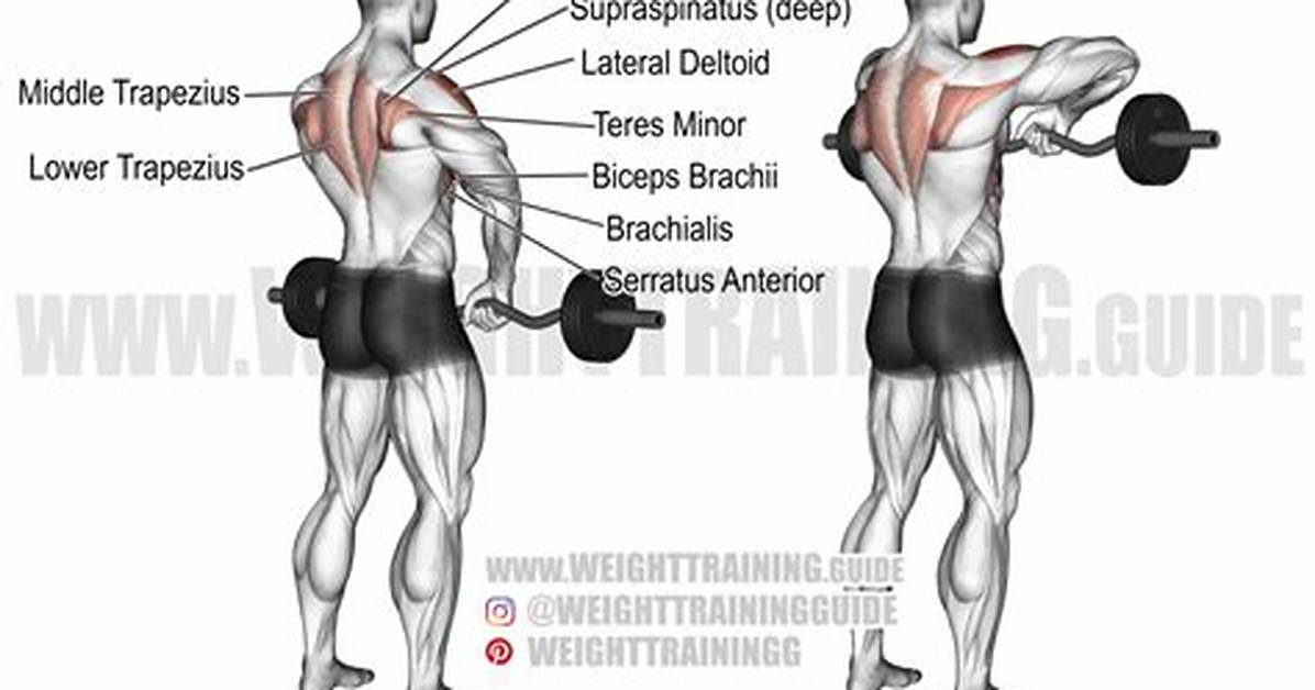 What Do Upright Rows Work