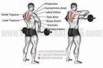 What Do Upright Rows Work
