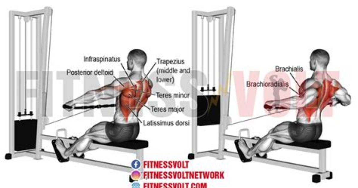 What Do Wide Grip Rows Work?