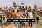 What Do You Mean by Apache?
