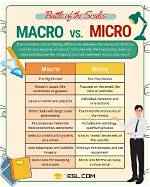 What Do You Mean by Micro Elements?