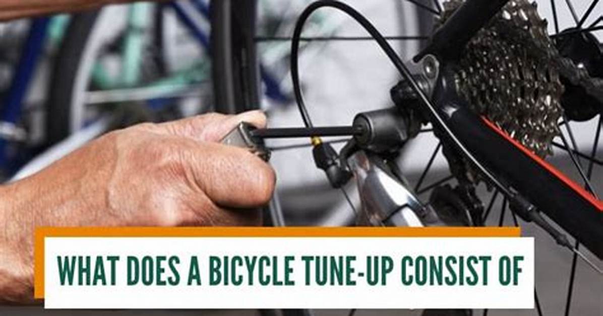 What Does a Basic Bike Tune up Include