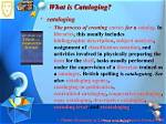 What Does a Cataloger Do?