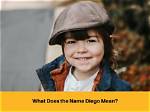 What Does a Demurrer Do