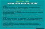 What Does a Forester Do?