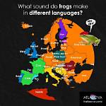 What Does a Frog Say?