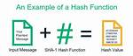 What Does a Hash After a Variable Name Do as an Operator in Bash?