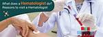 What Does a Hematologist Do?
