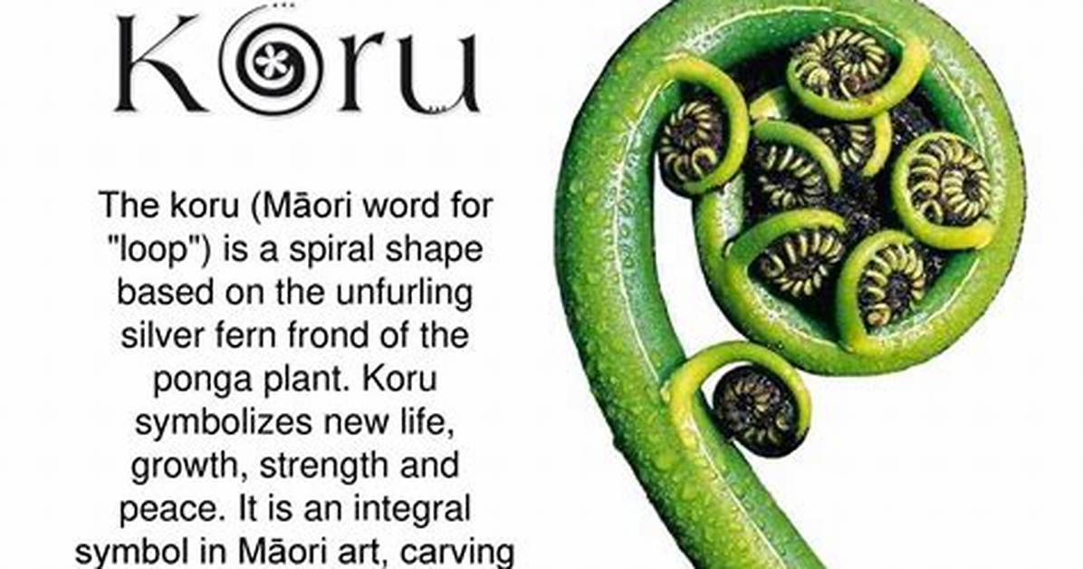 What Does a Koru Represent