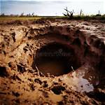 What Does a Mud Hole?